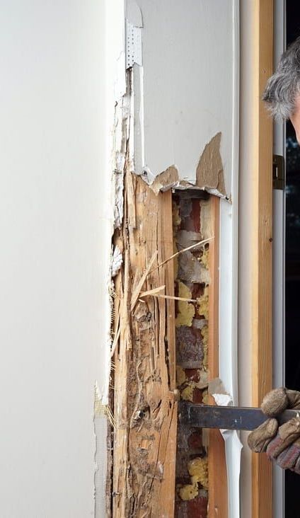 Removing Wood Damaged by Termites — Brazel's Pest Control in Coffs Harbour, NSW