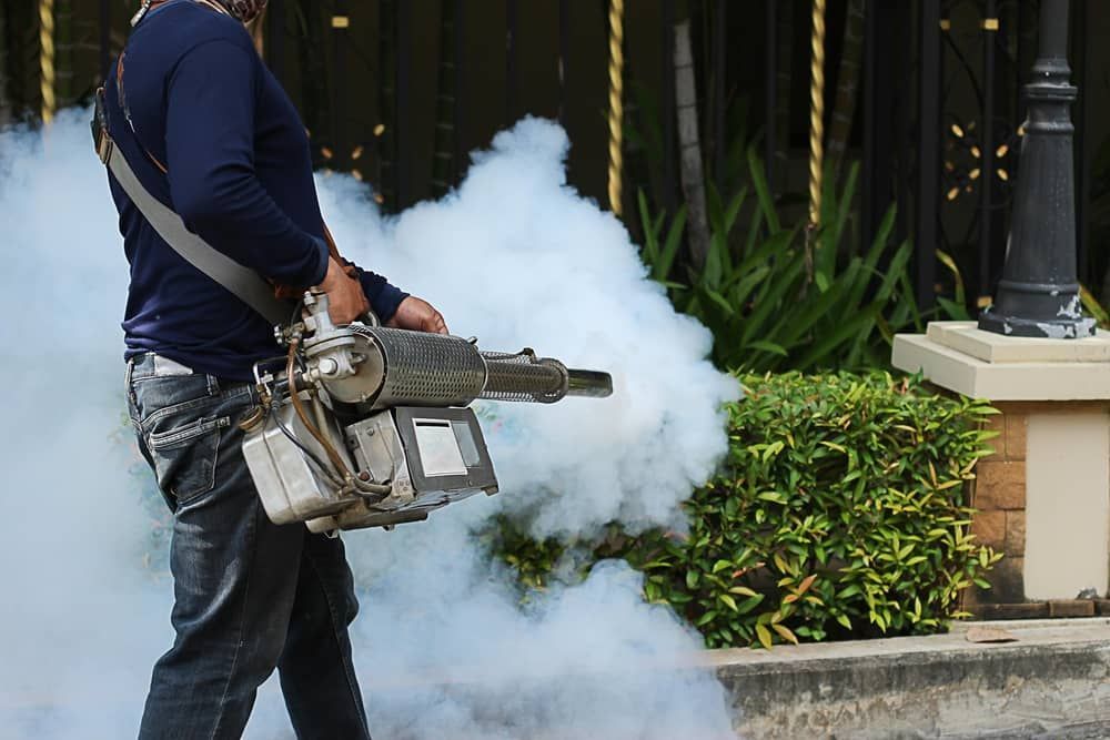 Preventing Spread Dengue — Brazel's Pest Control in Dorrigo, NSW