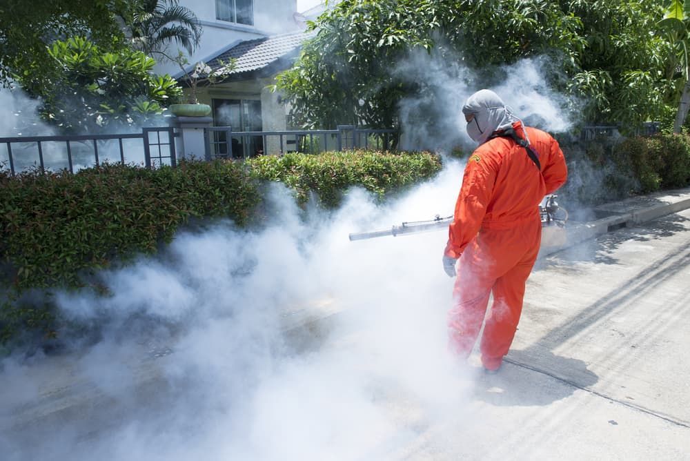 Fogging For Dengue Control — Brazel's Pest Control in Coffs Harbour, NSW
