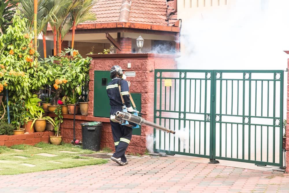 Worker Fogging Residential Area — Brazel's Pest Control in Bellingen, NSW
