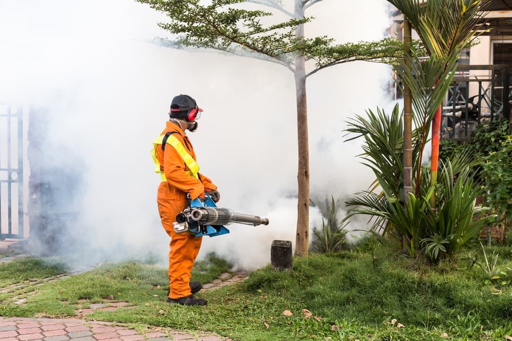 Fogging Residential Area — Brazel's Pest Control in Coffs Harbour, NSW