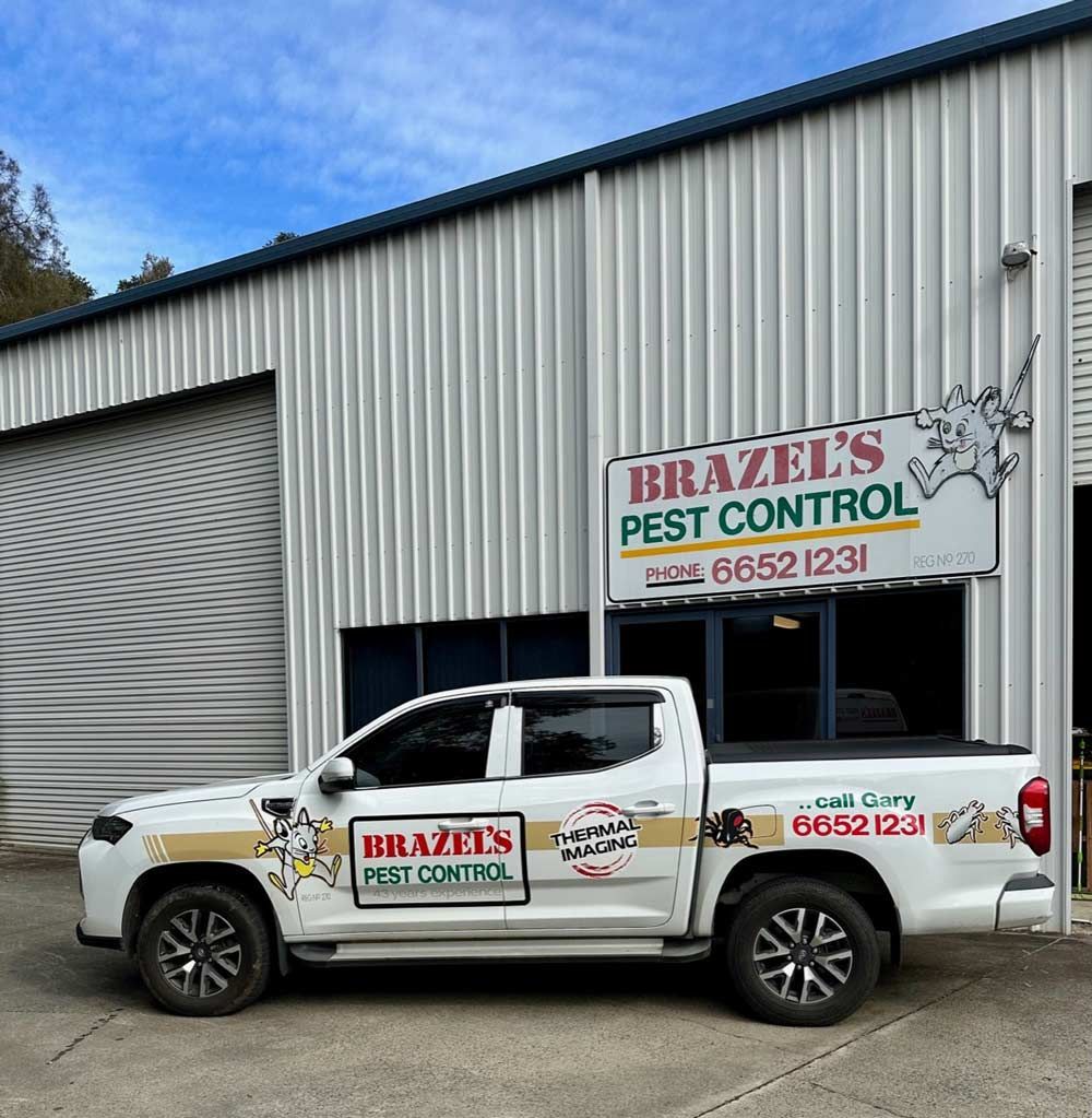 Brazels Pest Control White Pick-Up Truck — Brazel's Pest Control in Grafton, NSW