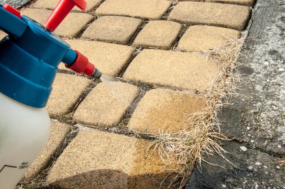 Removing Weeds From The Sidewalk — Brazel's Pest Control in Bellingen, NSW