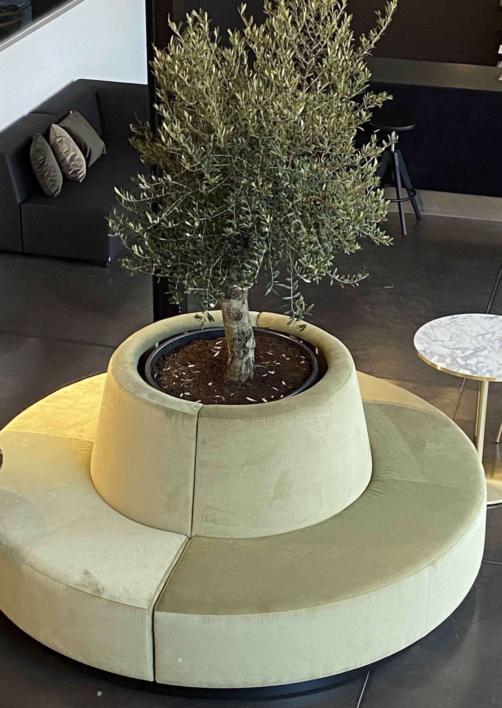 Ronde bank met bloembak geintegreerd.