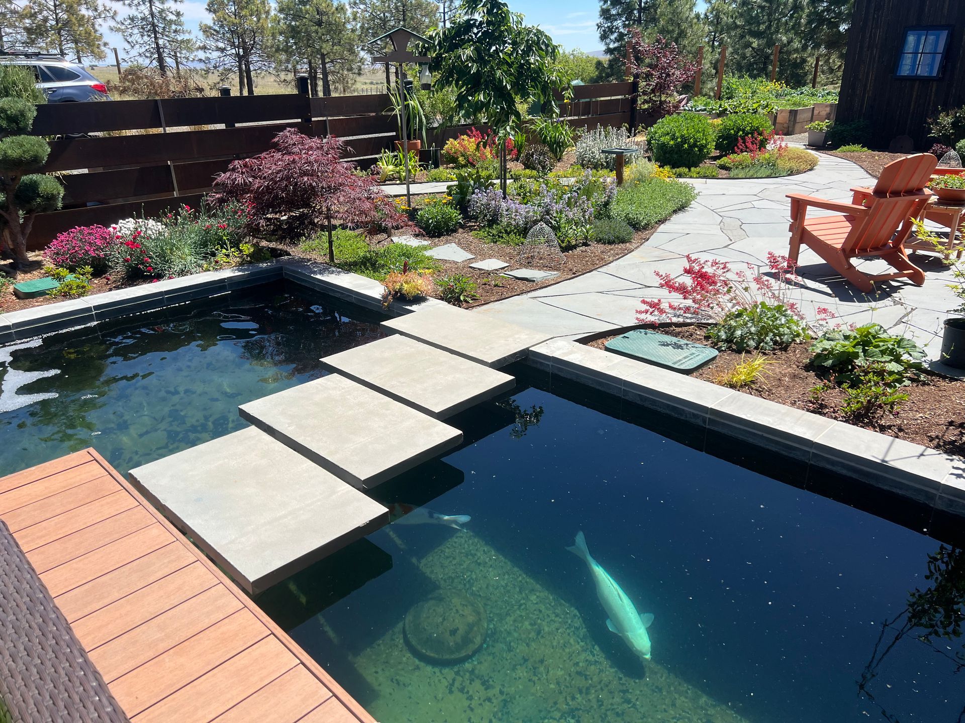 A koi pond with a walkway, surrounded by a garden with a lounging area, in a sunny outdoor setting.