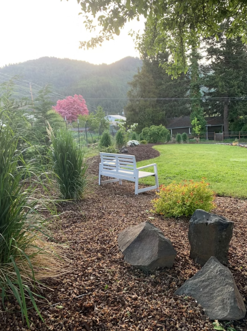 A white bench is sitting in the middle of a lush green garden.