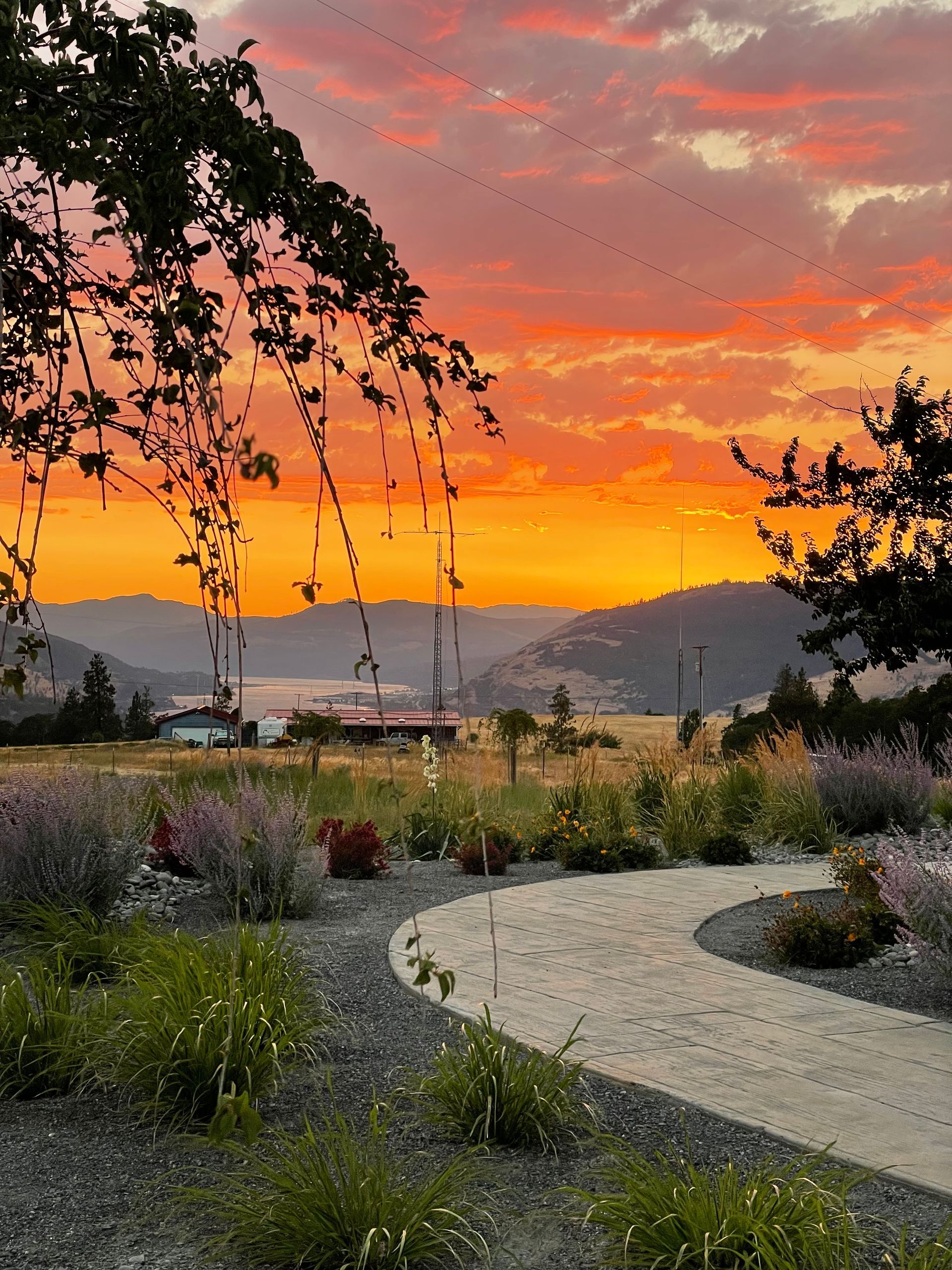 Sunset over a valley with a walking path and colorful garden.