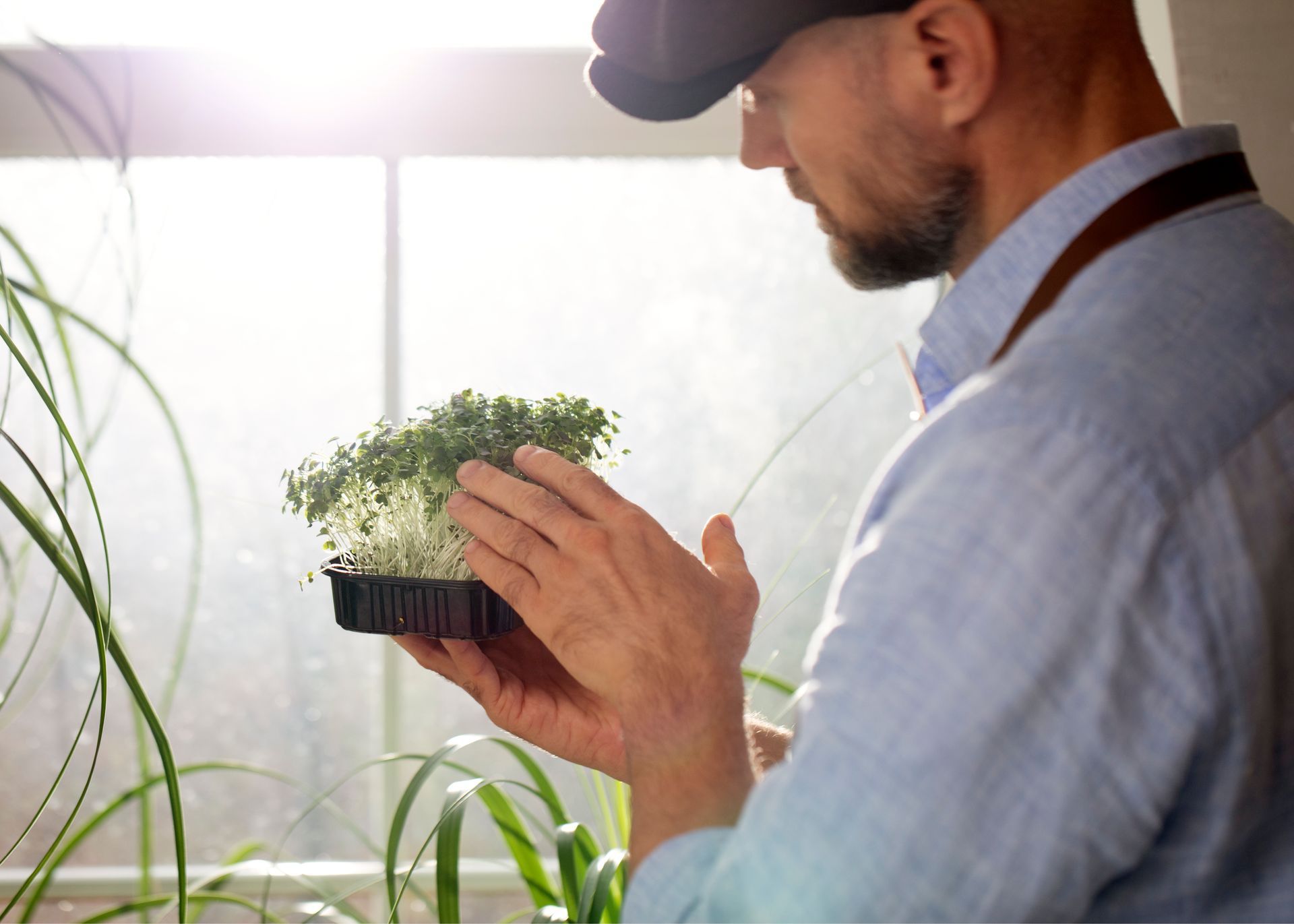 A man is holding a small plant in his hands.