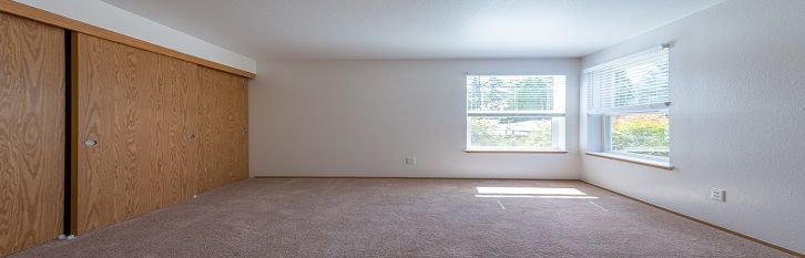 An empty living room with two windows and a carpeted floor.