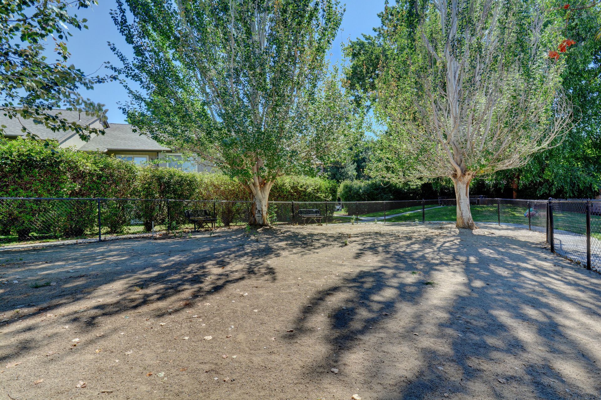 A dog park with a fence and trees in the background.
