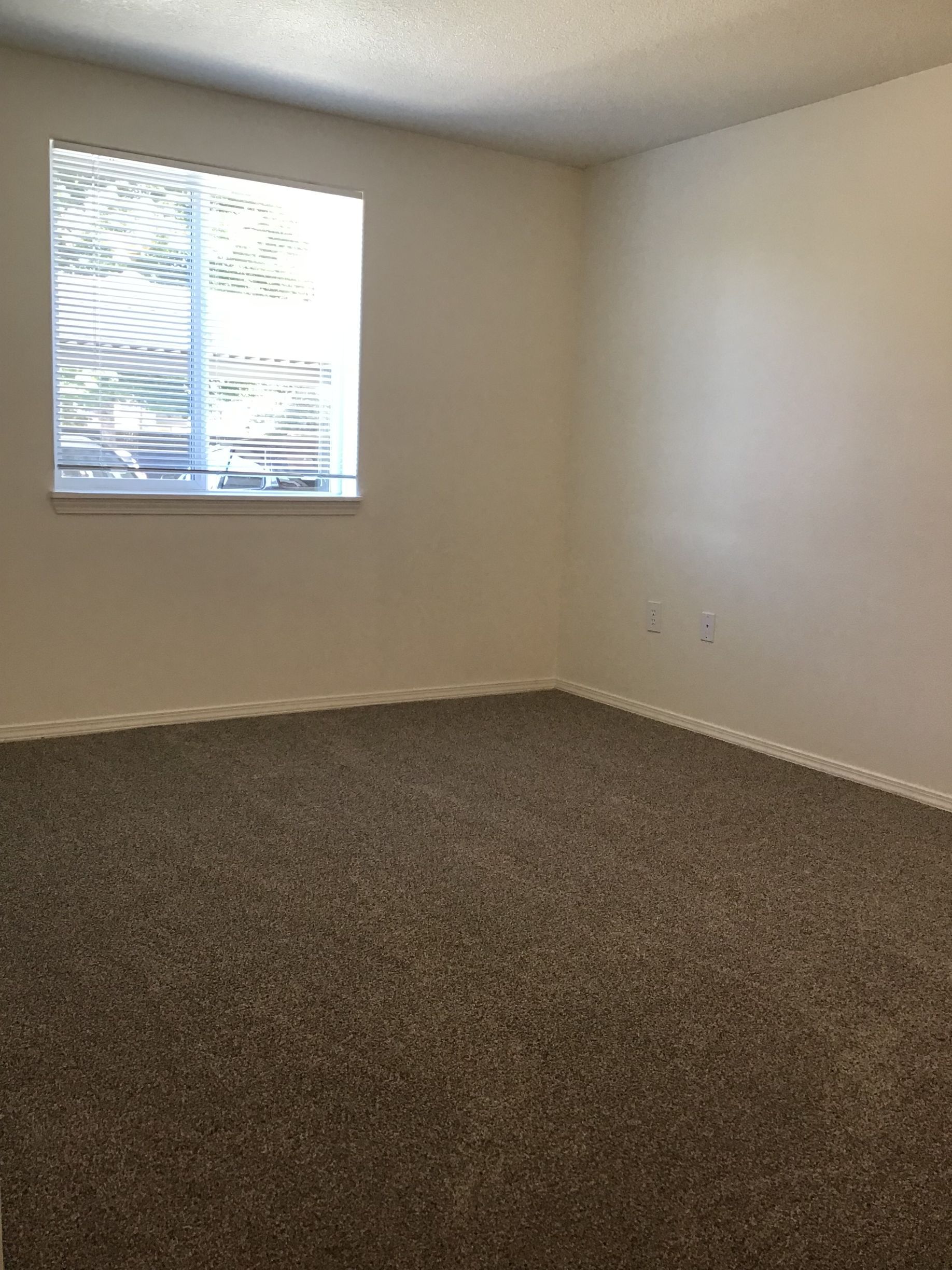 An empty bedroom with a window and a carpeted floor.