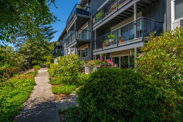 A walkway leading to a large apartment building surrounded by trees and bushes.