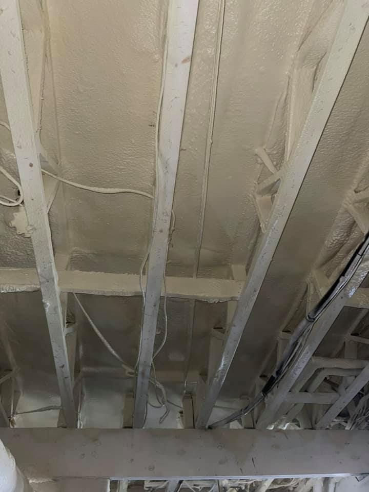 White spray foam insulation applied between wooden ceiling joists.