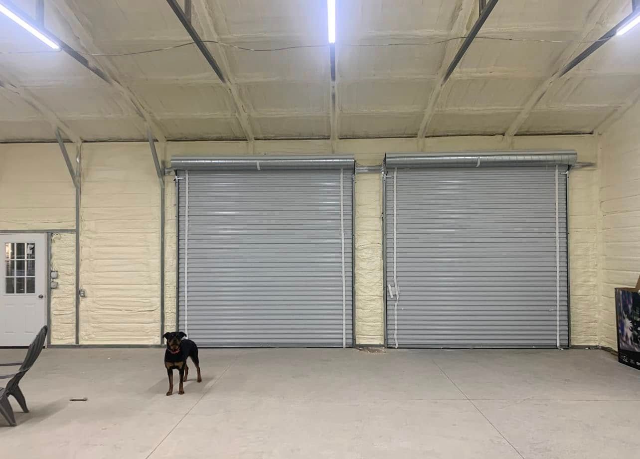 A dog stands in a garage with two closed gray roll-up doors and spray foam insulation.