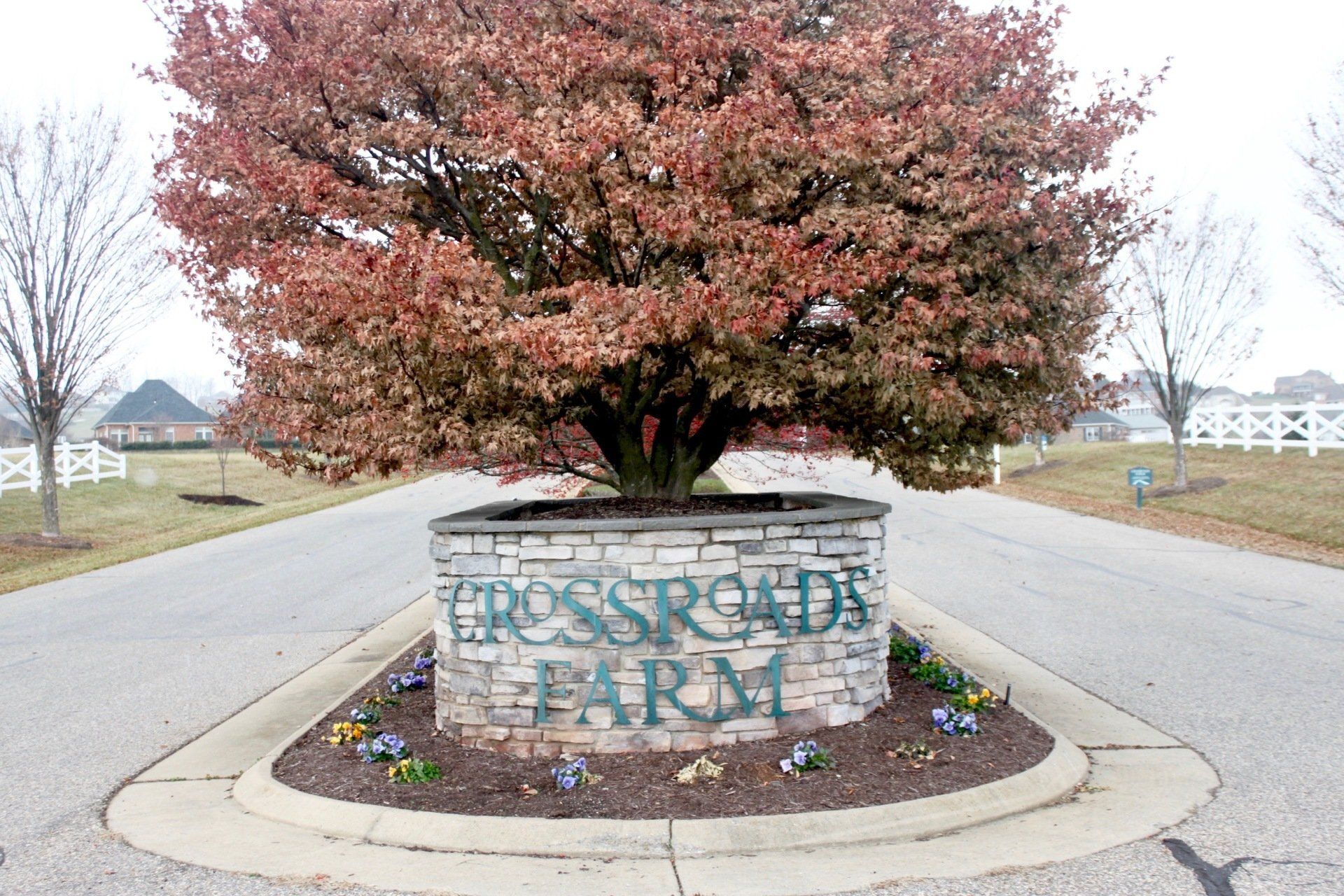 Crossroads Farm property images