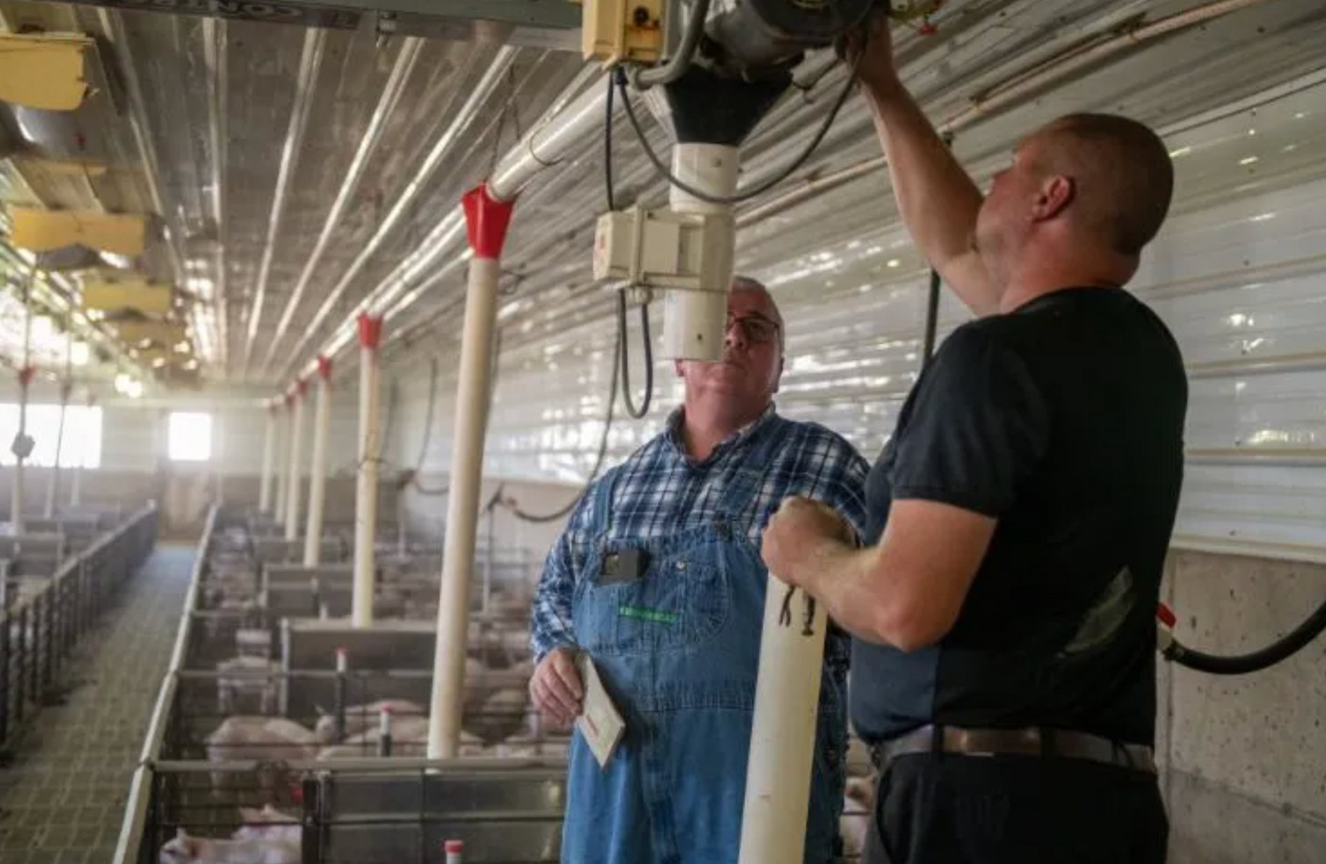 A man and woman are holding a newborn baby in front of a window.