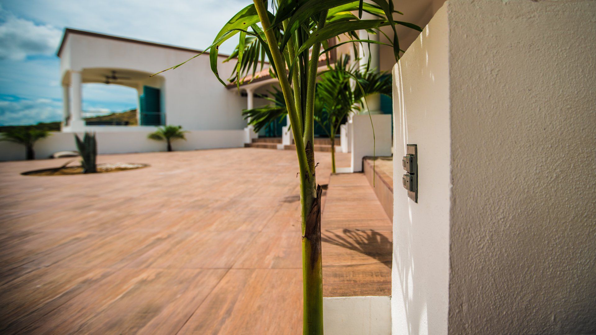 A large white house with a palm tree in front of it.