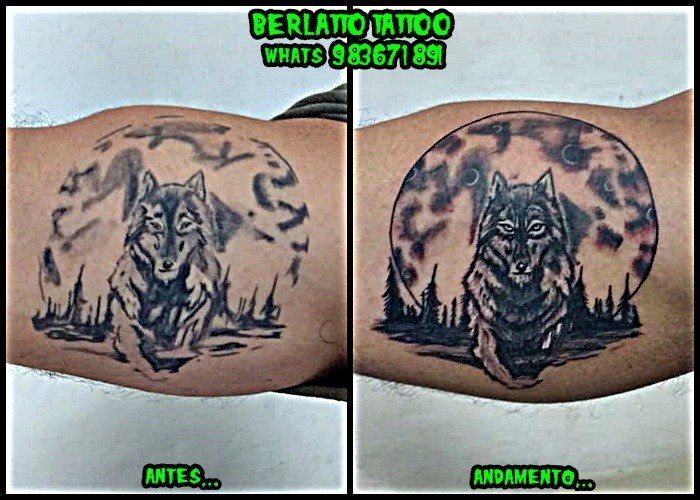 Correção de Tatuagem Lobo Berlatto Tatto Studio