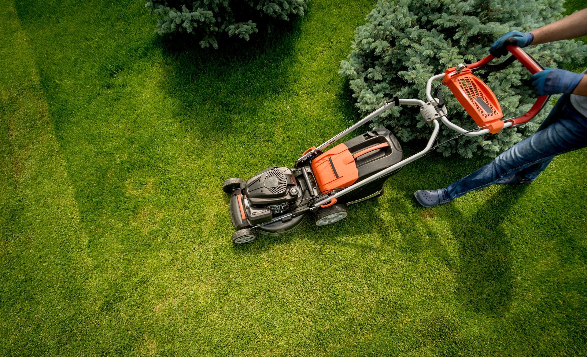 A person is mowing a lush green lawn with a lawn mower.