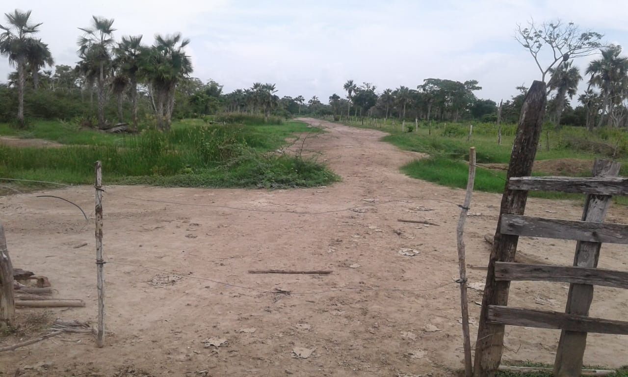 Camino de tierra que atraviesa un campo, flanqueado por árboles y vegetación herbácea. Puerta de madera en primer plano.