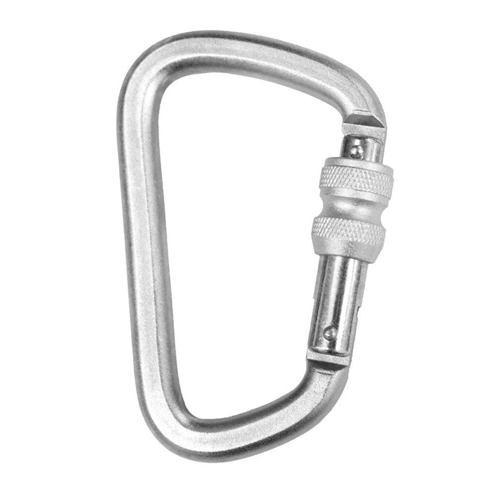 ASTRA Steel offset screwgate Karabiner