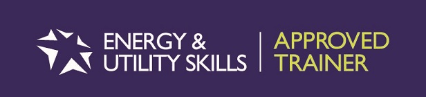 Energy & Utility Skills