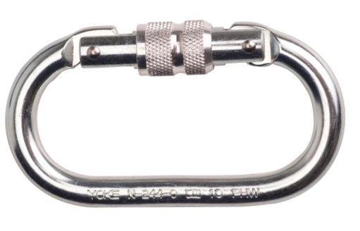 FP30 - Screwgate Carabiner Silver