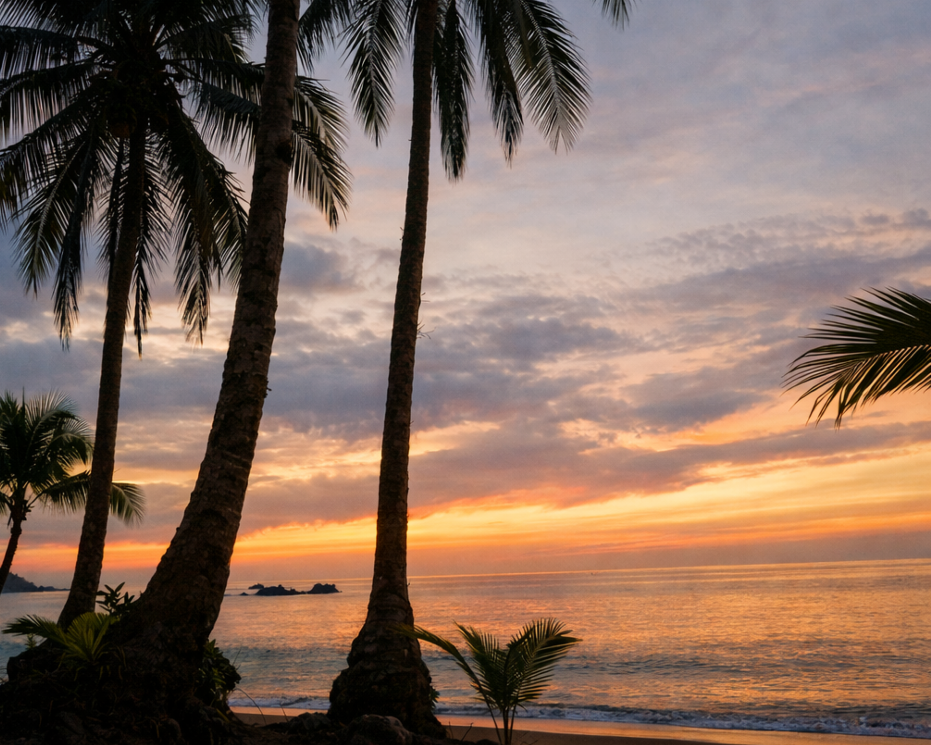 Palmeras recortadas contra una colorida puesta de sol sobre el océano.