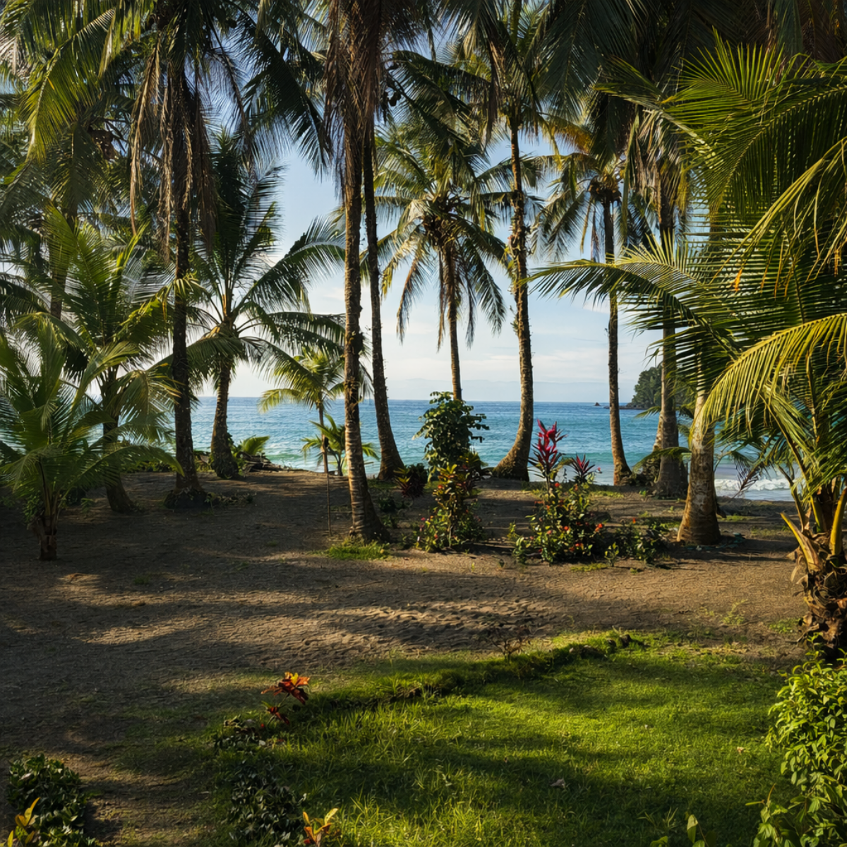 Escena de playa con palmeras, océano azul y césped verde. Luz solar y sombras.