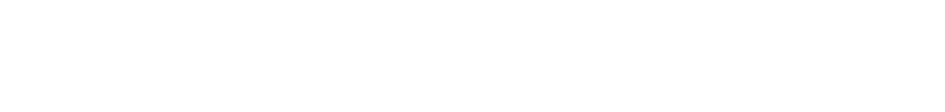 White Divider