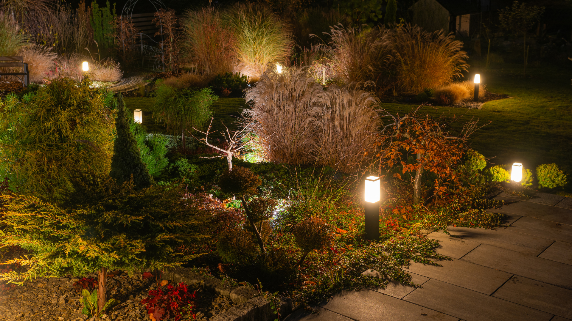 A garden illuminated at night by small, glowing lights. Various plants and shrubs are visible.