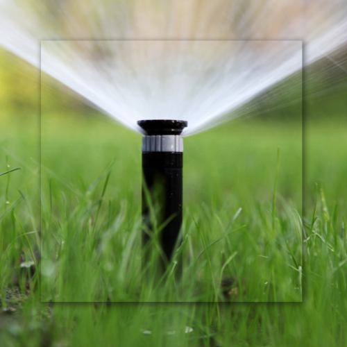 Sprinkler spraying water over green grass in a lawn.