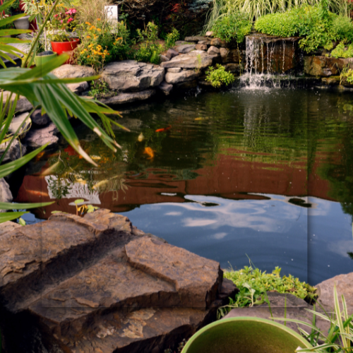 Pond with waterfall, koi, and surrounding rocks and greenery.