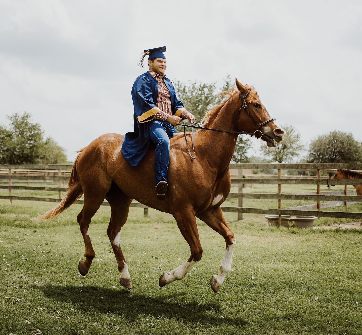 Person in graduation gown riding a brown horse in a grassy field.