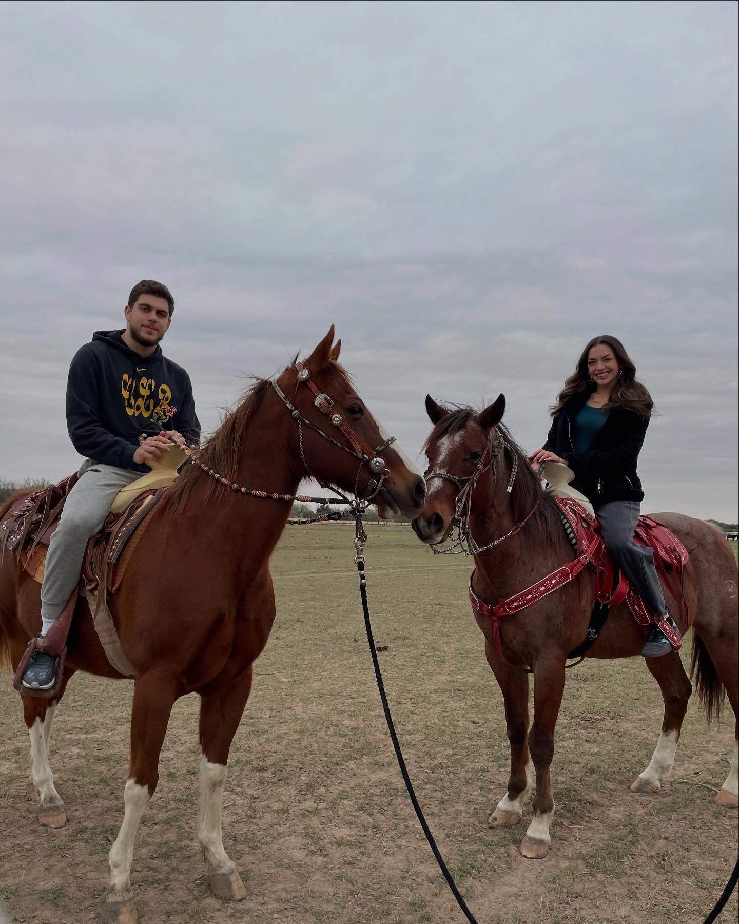Two people on horseback in a field, facing each other. Horses are brown. Cloudy sky.