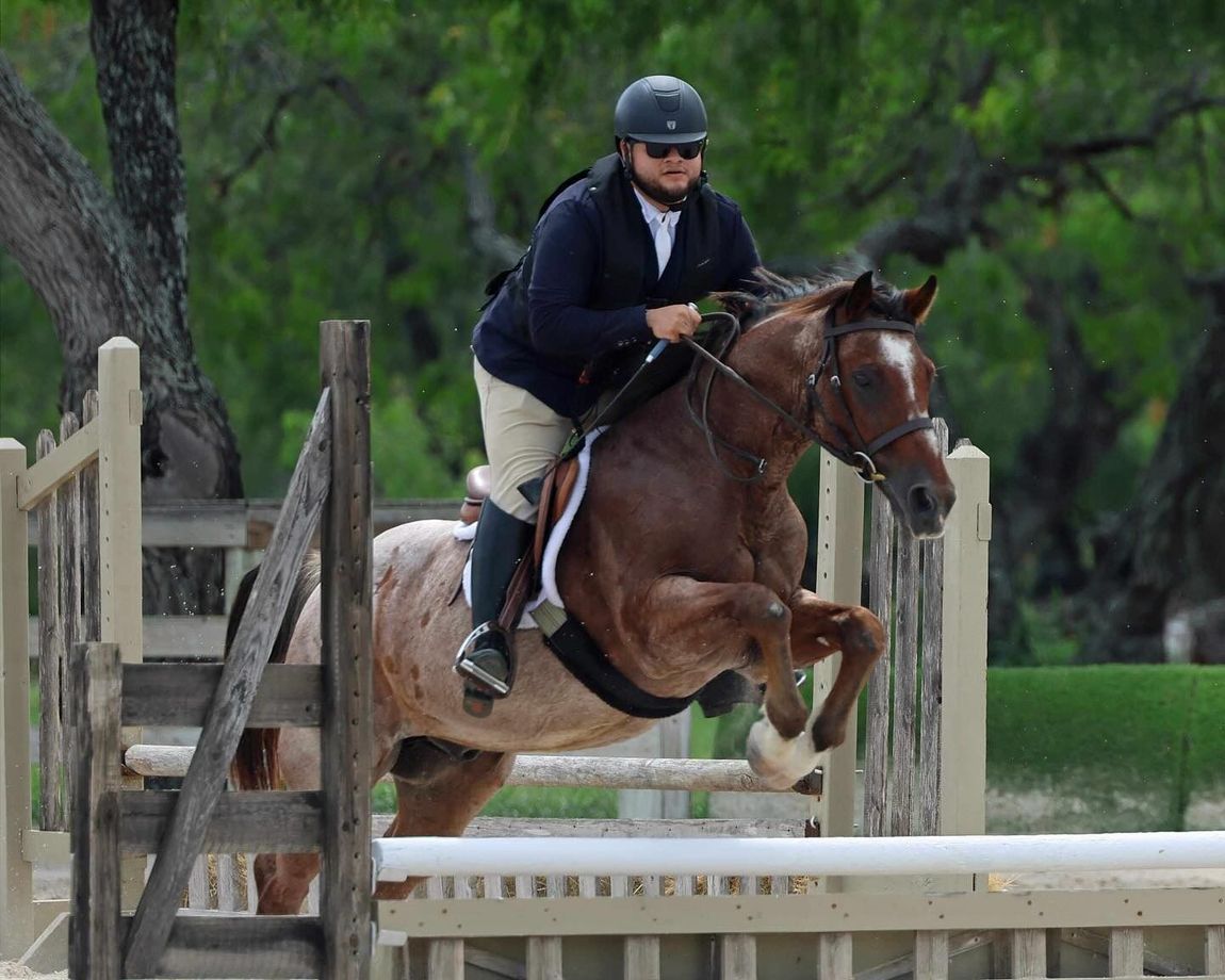 Equestrian jumping a wooden fence on a spotted horse. Rider in navy jacket and helmet. Outdoors.