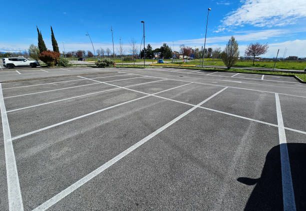 Empty asphalt parking lot with white painted lines, trees, and blue sky.