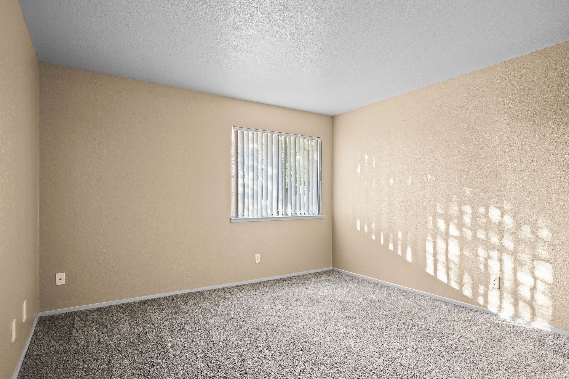 Empty beige bedroom with gray carpet and a window with blinds casting light on the wall