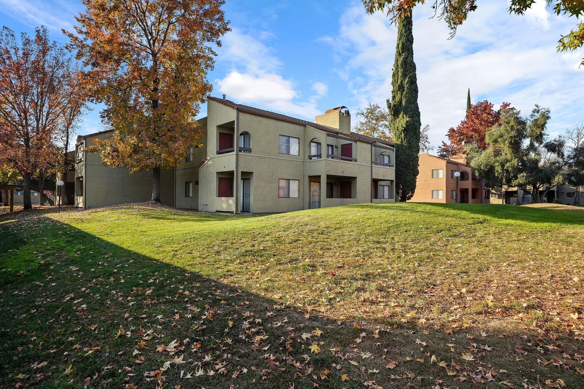 Apartment building on a grassy lawn with autumn trees and fallen leaves