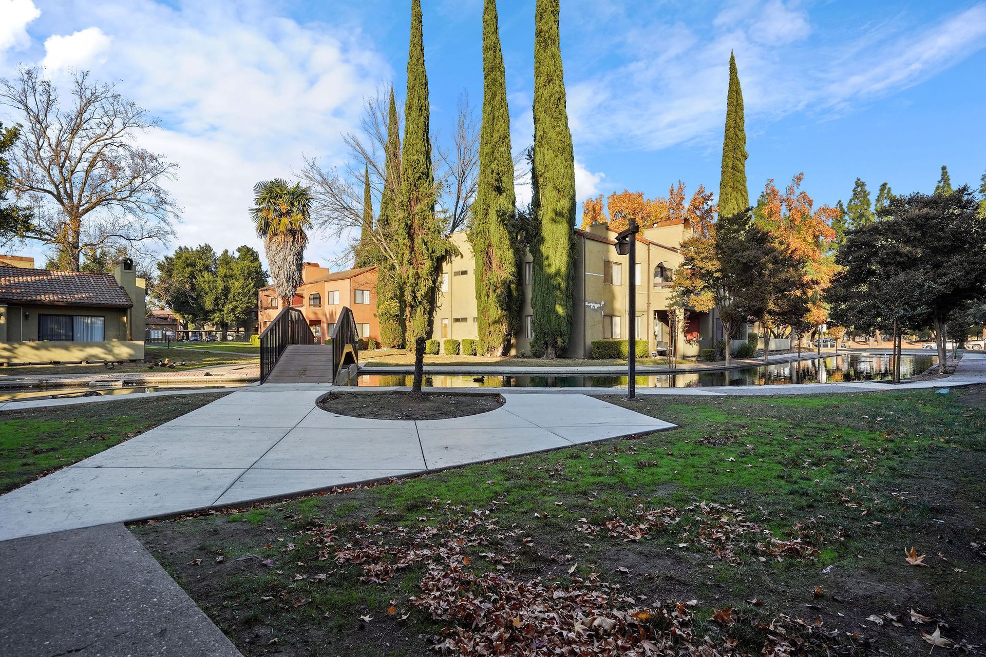 Campus walkway with tall cypress trees, benches, and buildings in the background under a clear sky
