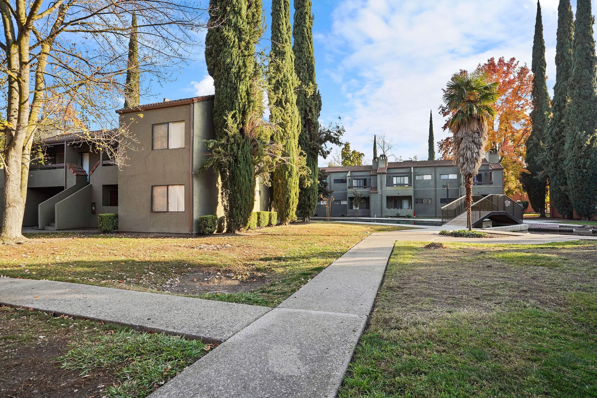 Apartment courtyard with concrete paths, leaf-covered grass, and tall evergreen trees under a clear sky