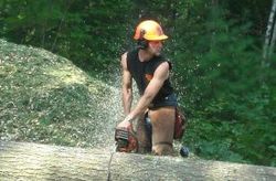 A set of hands using a chainsaw on a tree trunk