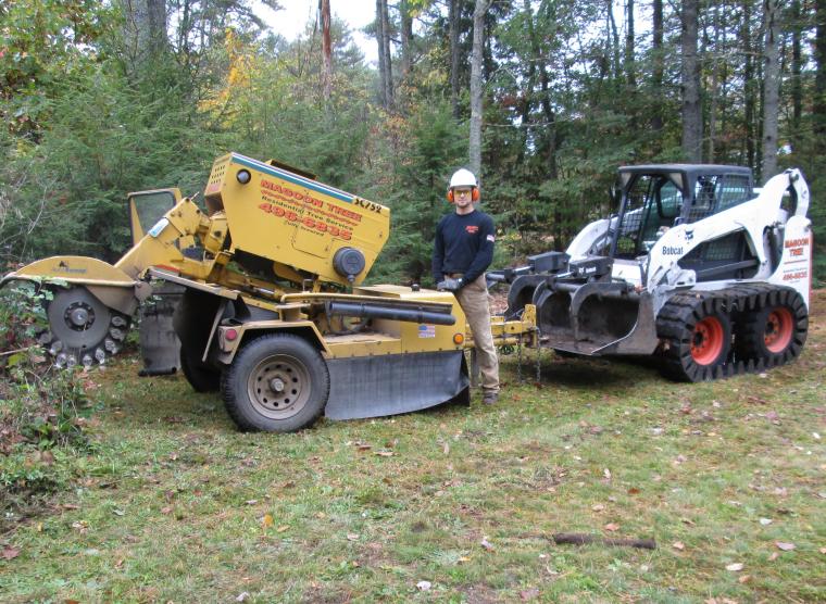 stump removal  2