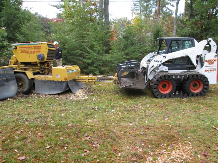 stump removal 1