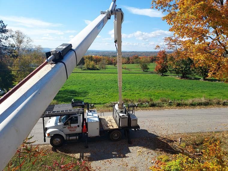tree services 1