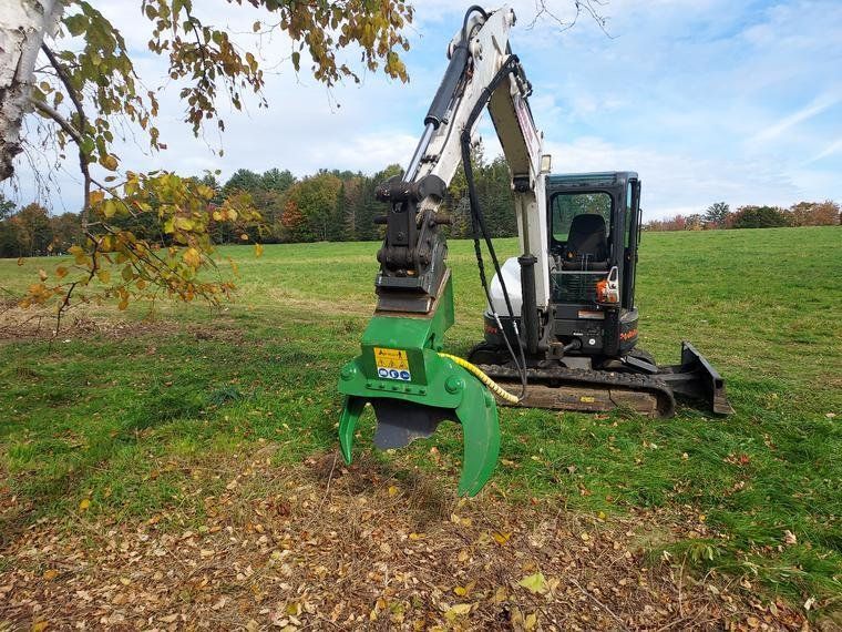 tree services 2