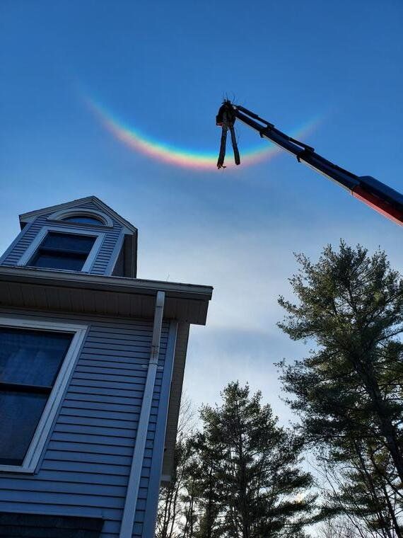tree services 3