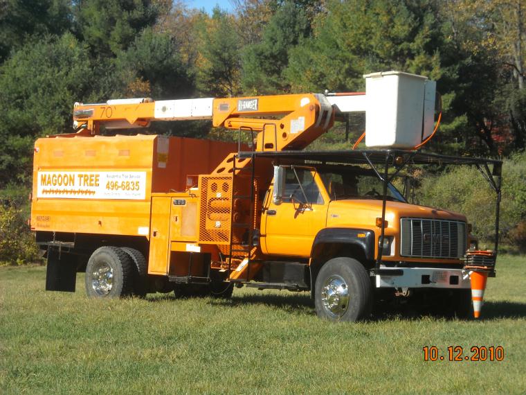 Tree Removal services 8