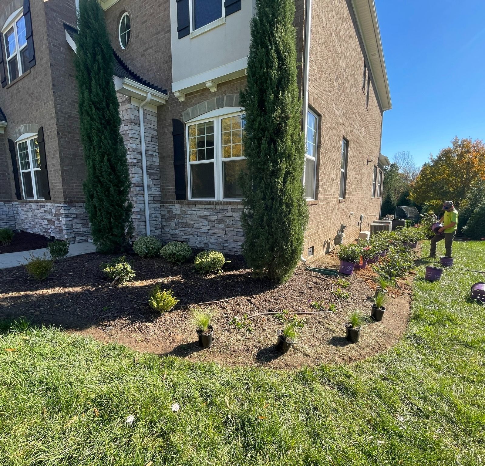 Man planting flowers in front of a brick house, next to tall cypress trees, on a sunny day.