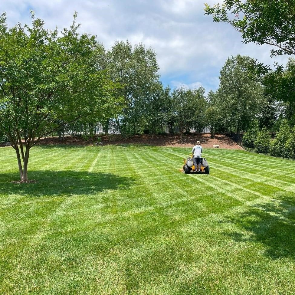 Man mowing a green lawn with a riding mower on a sunny day.